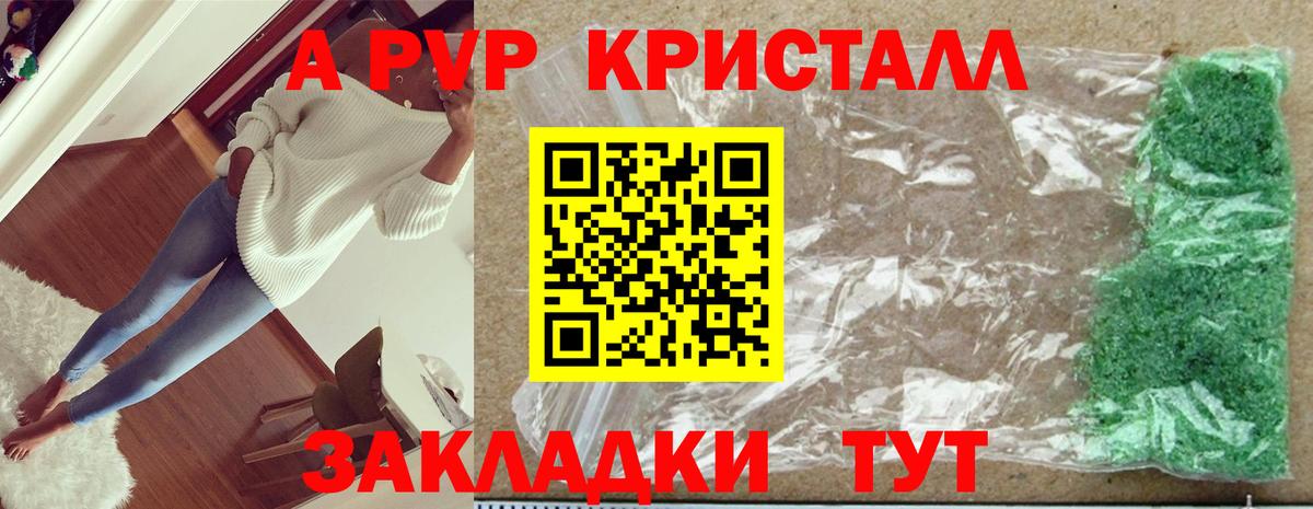A PVP СК КРИС Петрозаводск