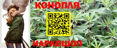 каннабис Будённовск
