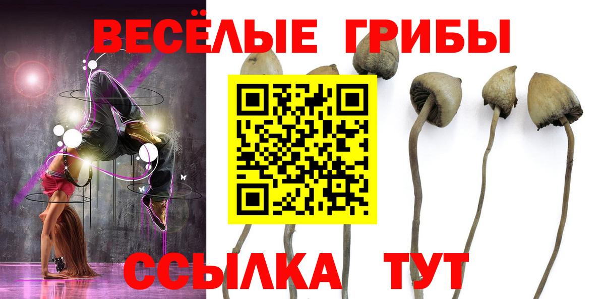 Галлюциногенные грибы GOLDEN TEACHER  Галлюциногенные грибы GOLDEN TEACHER  Вход с VPN  Петрозаводск 