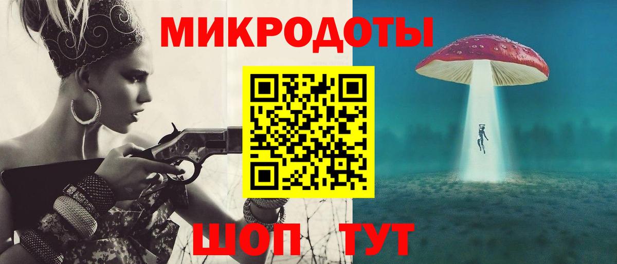 Галлюциногенные грибы Psilocybe Петрозаводск