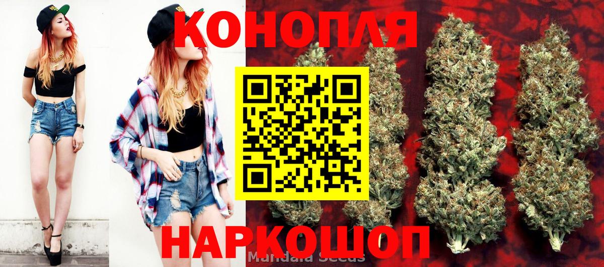Конопля гибрид Петрозаводск